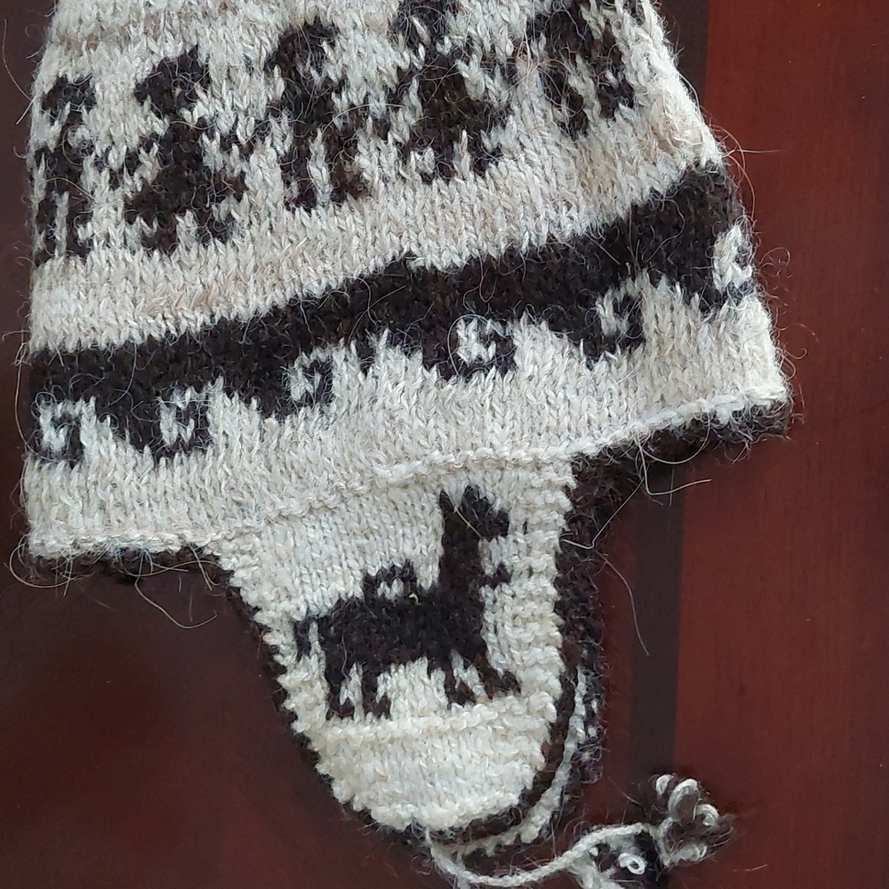 Peruvian Wool Hat - image 5